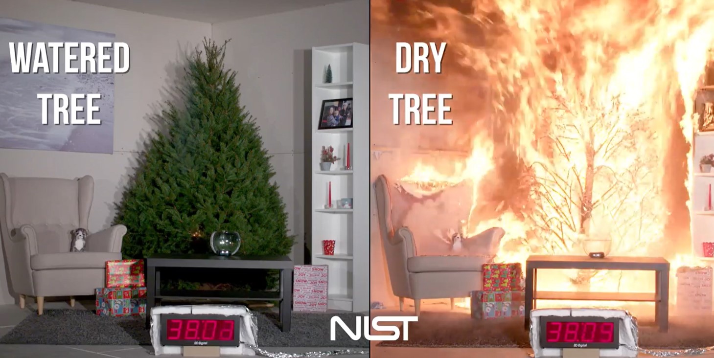 Crispy Christmas trees Fire shows risk for potential disaster Boston