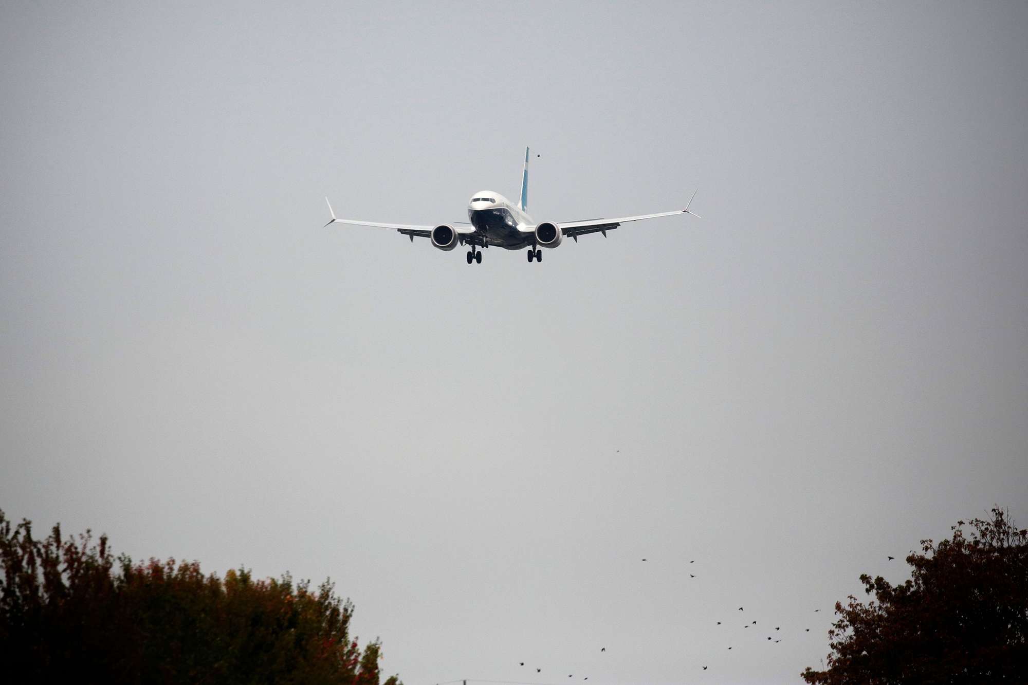 Long-haul carrier Emirates opens Dubai Air Show with $52 billion aircraft purchase from Boeing - Boston News, Weather, Sports - Vimarsana News