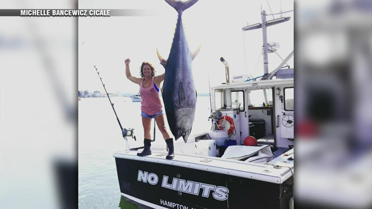 Huge haul: NH tuna captain reels in 800 pound fish - Boston News