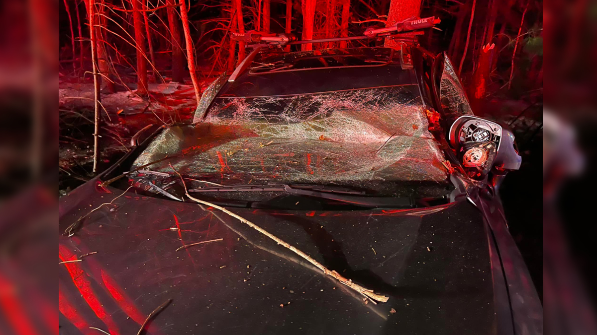 Driver escapes serious injury during Sudbury crash thanks to seatbelt