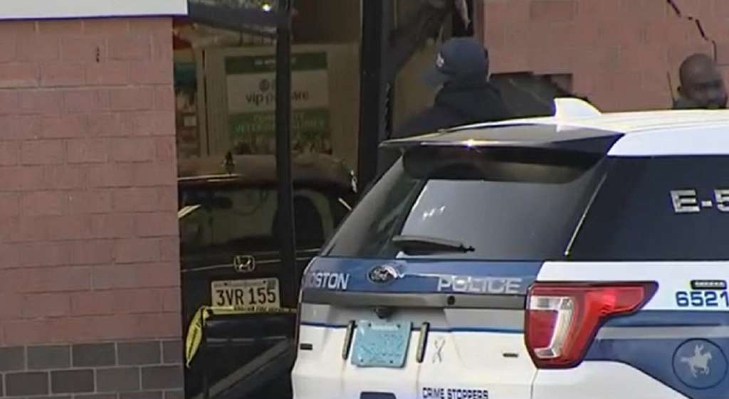 Car slams into West Roxbury pet store Boston News, Weather, Sports
