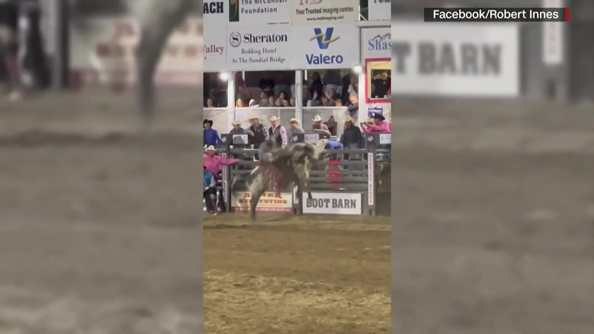6 hurt when bull escapes Northern California rodeo arena Boston News