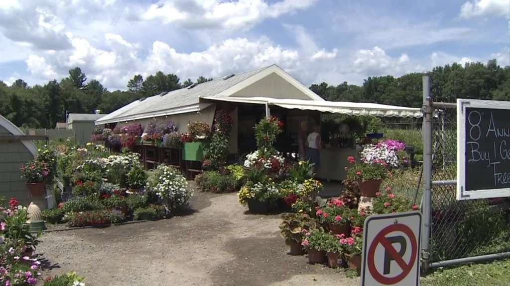 Crops destroyed at Haverhill farm after driver plows through fields