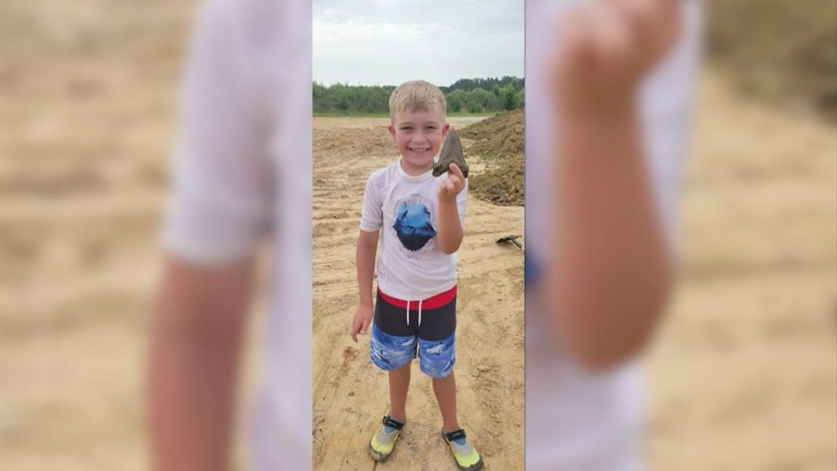8-year-old unearths prehistoric shark tooth while on vacation - Boston