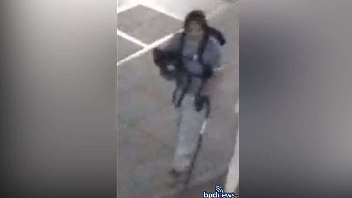 Boston Police: Suspect arrested in connection with sexual assault case ...