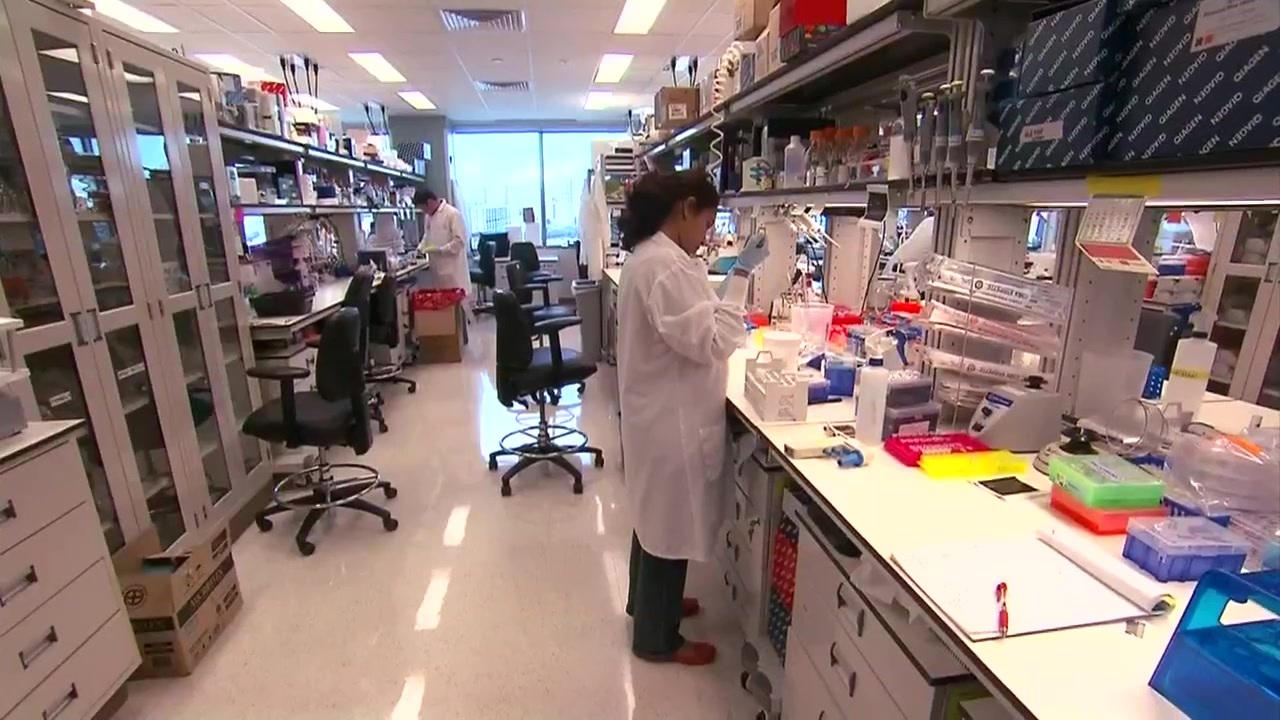 New study finds half of cancer deaths could be preventable - Boston