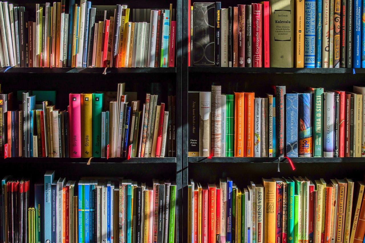 Kids are in a ‘reading recession,’ as test scores continue to decline