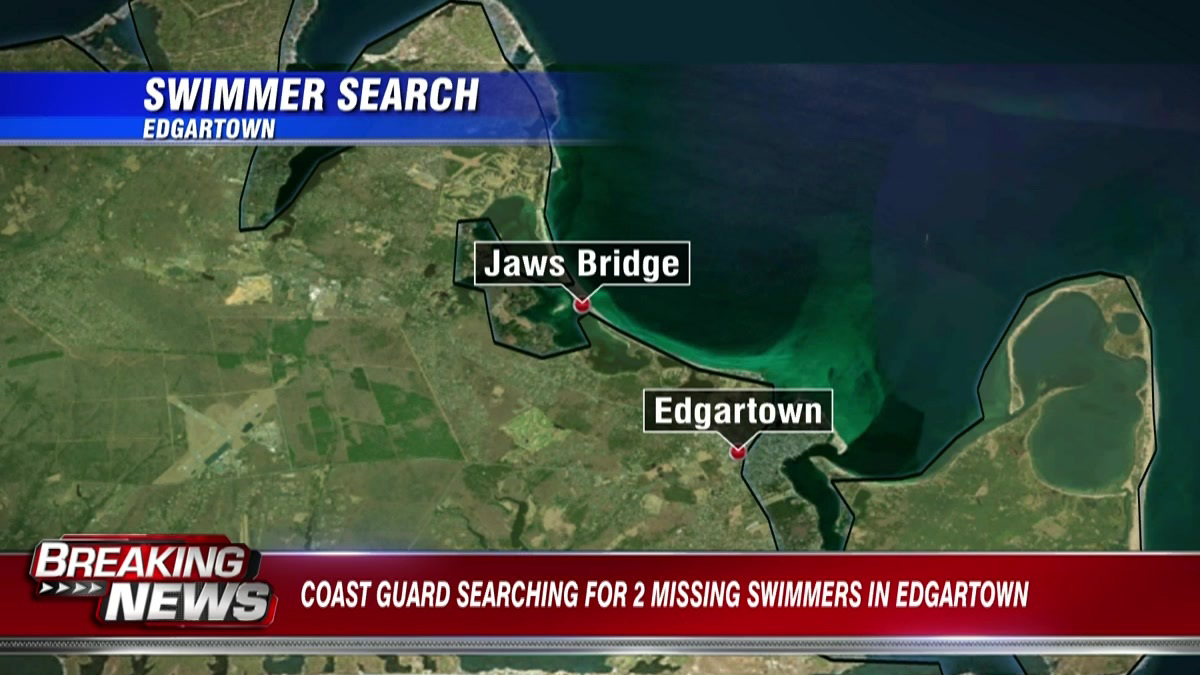Body of missing swimmer found as search continues for missing brother