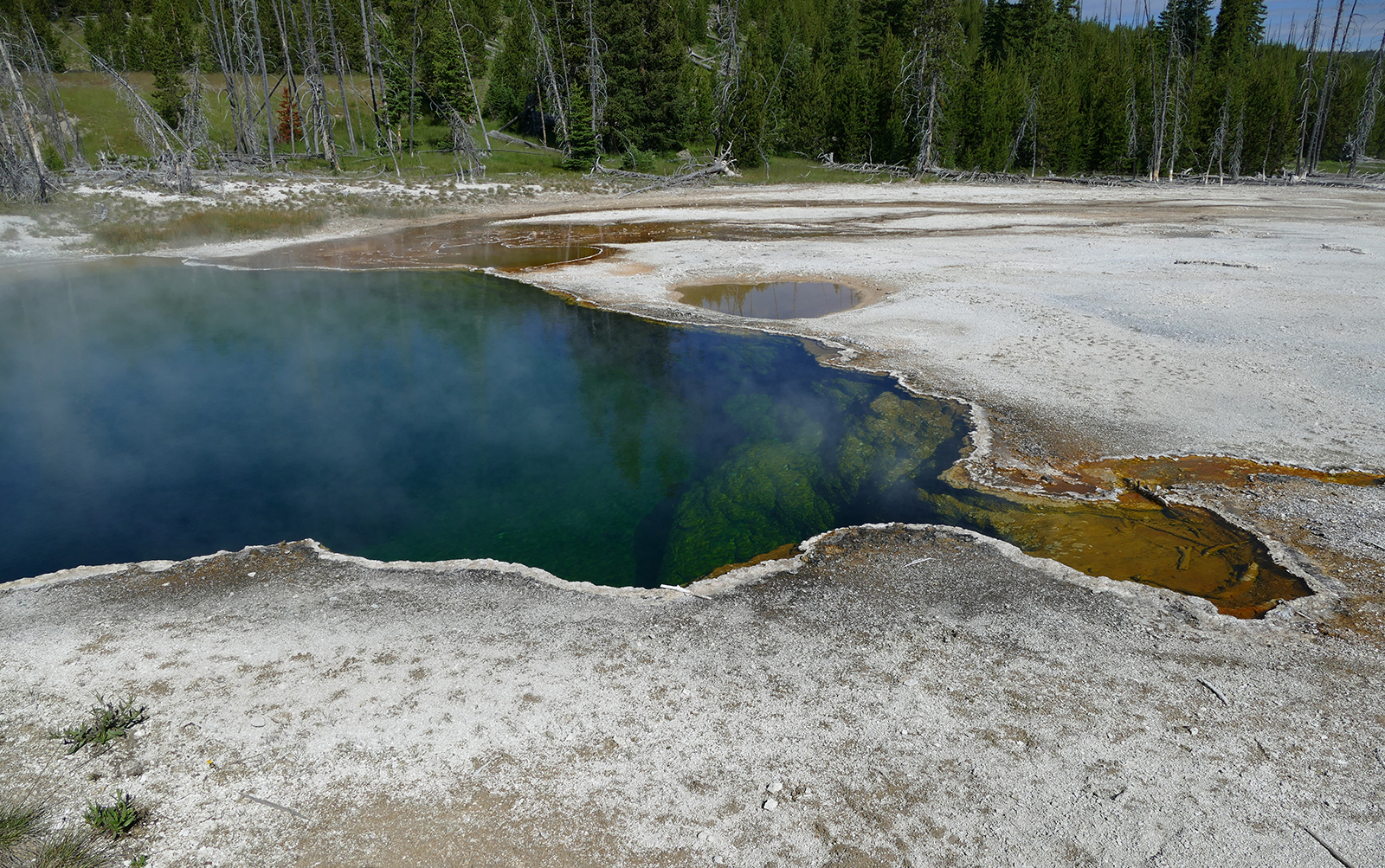 A partial foot in a shoe was discovered in one of Yellowstone’s deepest