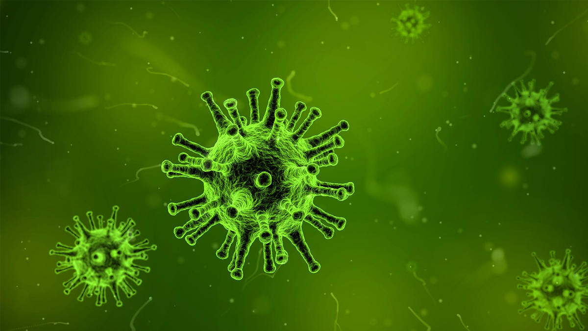 A suspected hantavirus outbreak on a cruise ship in the Atlantic Ocean kills 3 people, WHO says