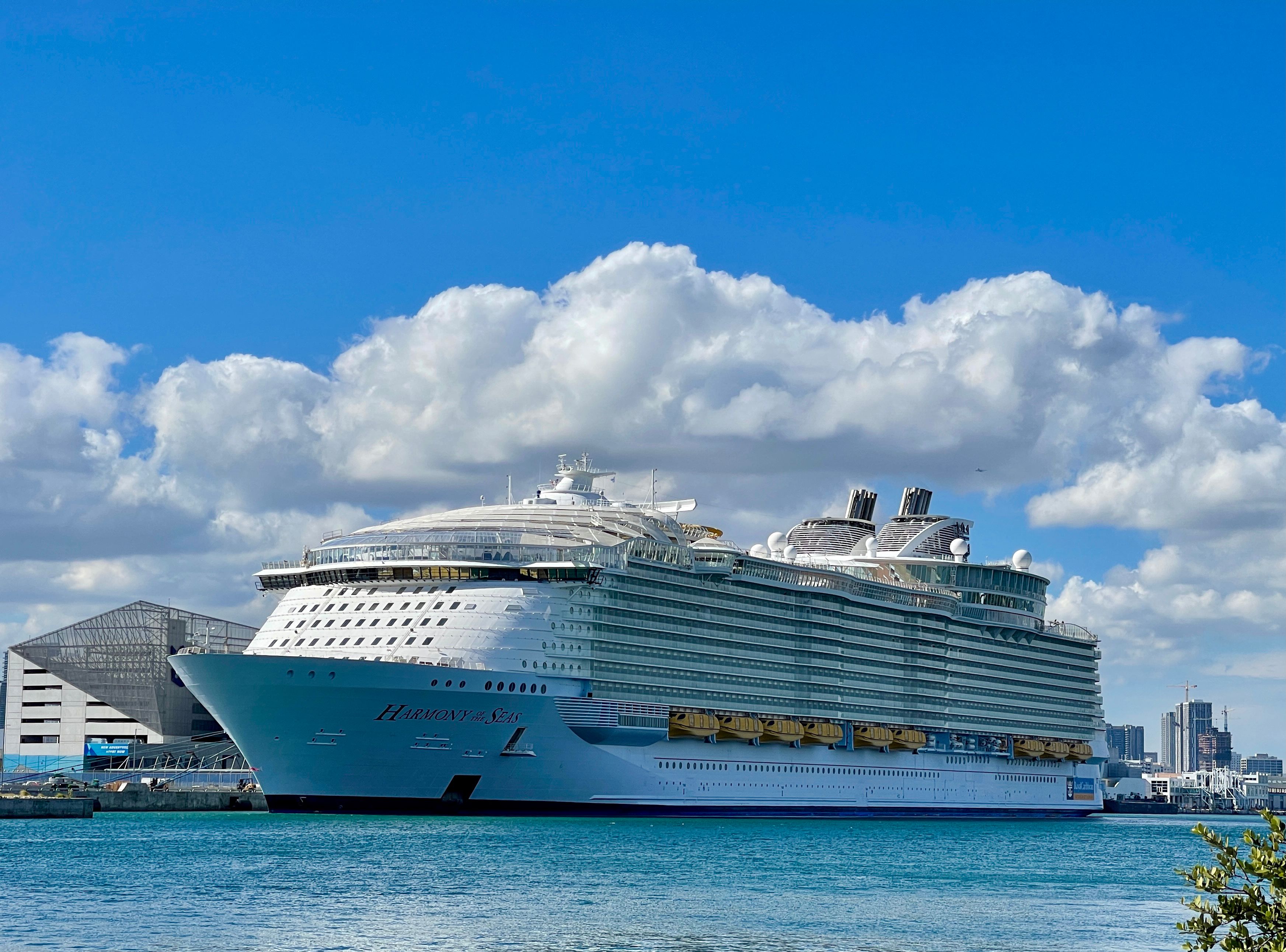 A cruise ship passenger died after being attacked by a shark while