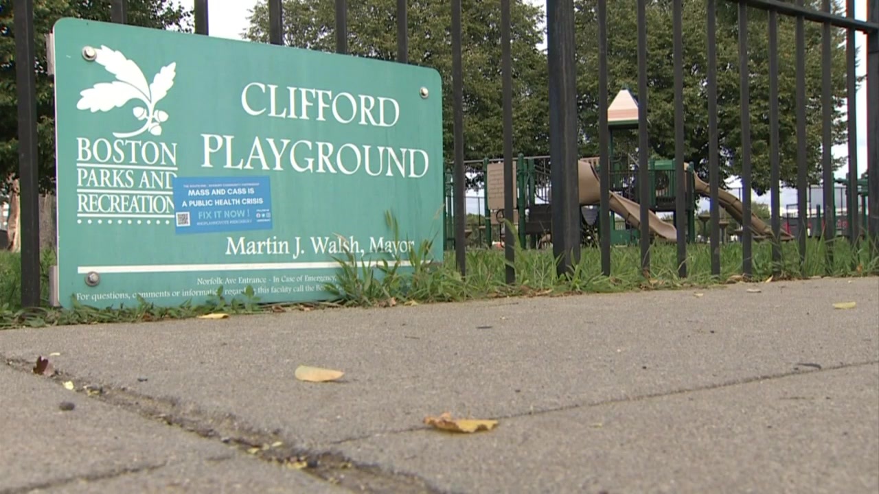 Community members concerned about unsanitary conditions at Roxbury park