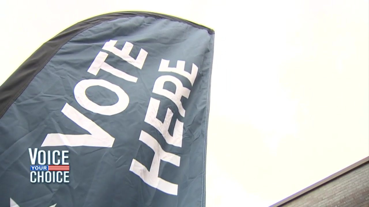 Some Democratic-led states seek to bolster voter protections - Boston