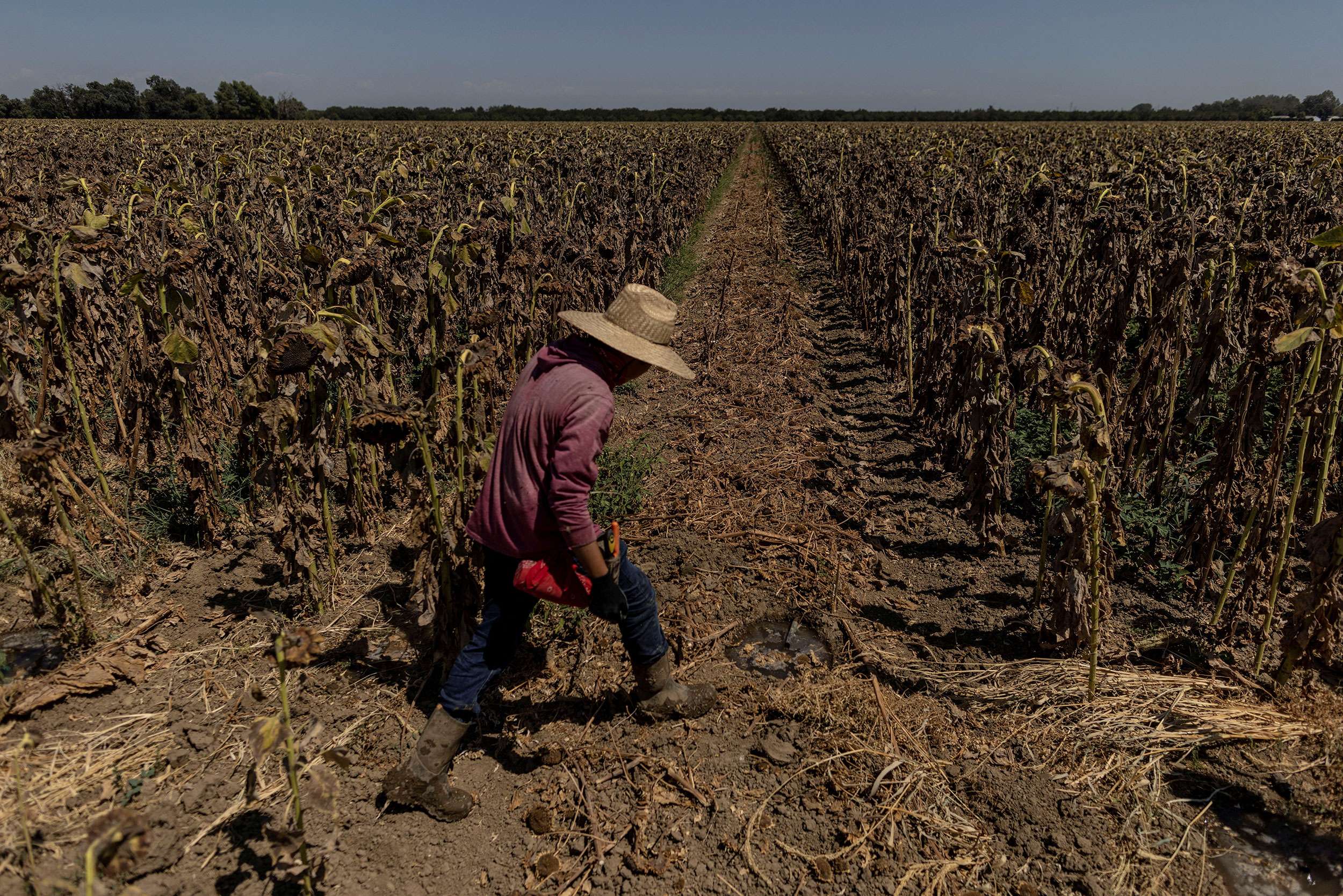 Tropical Storm Kay could bring a year’s worth of rain in drought ...