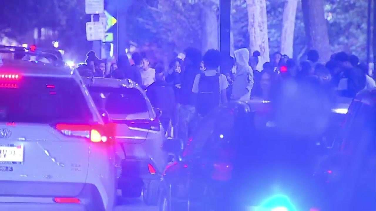 Police release more information on large fight at park in Boston ...