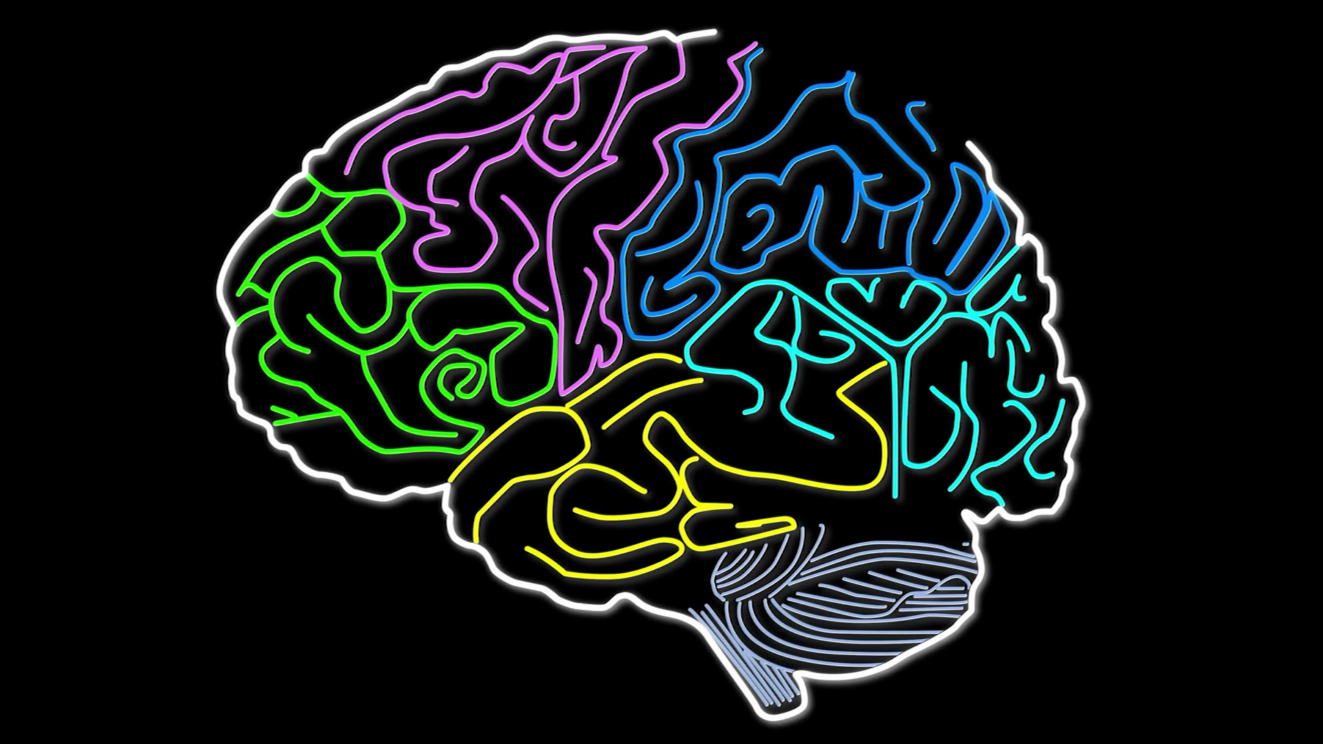 Цифровая деменция. Мозг анимация. Анимированный мозг. Мозг Анимашка. Анимашка мозг человека.