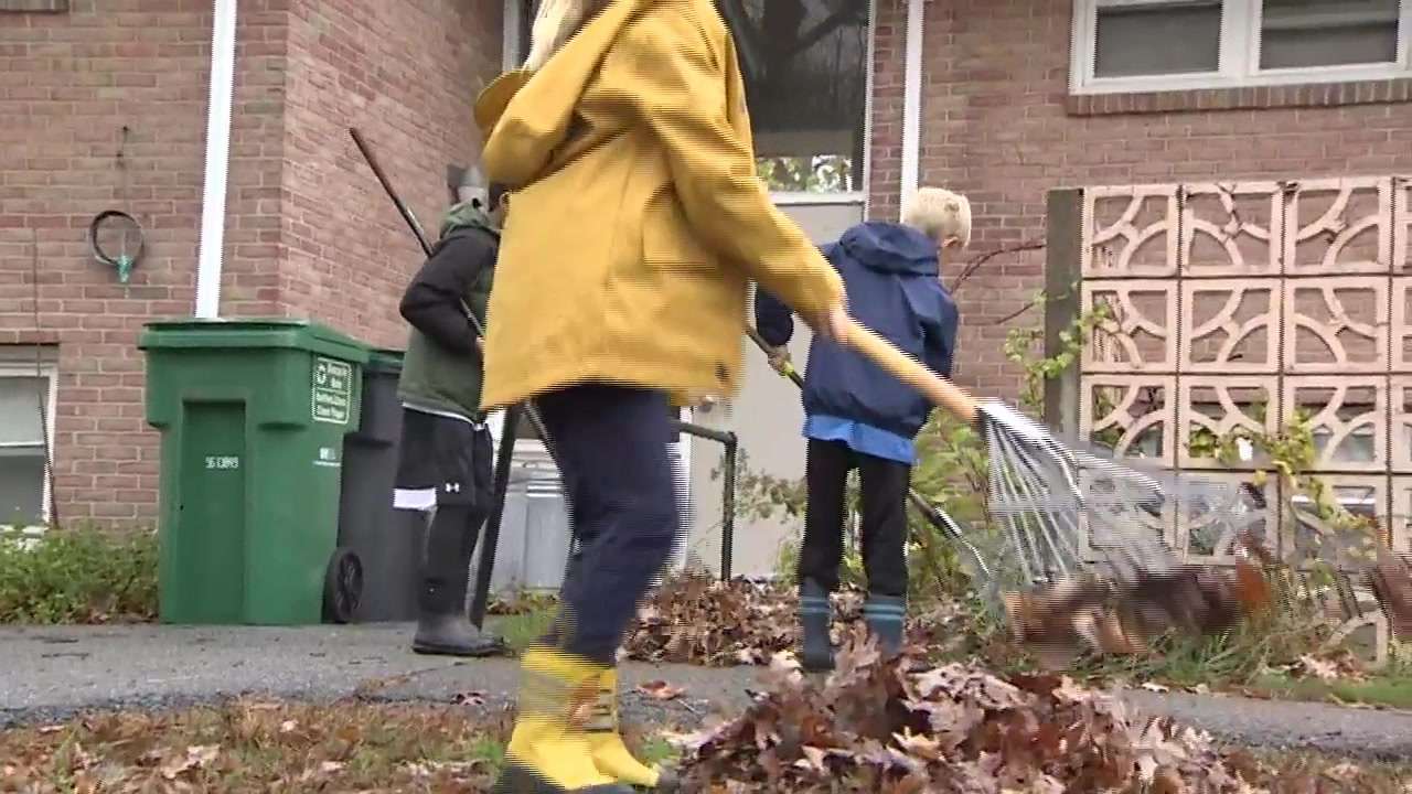 Fall Raking Volunteer Piles of ‘Great-fall-ness’: Volunteers leaf-raking in Natick kick off ...