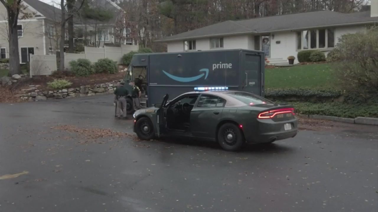 WATCH Surveillance footage released of man who led officers on chase