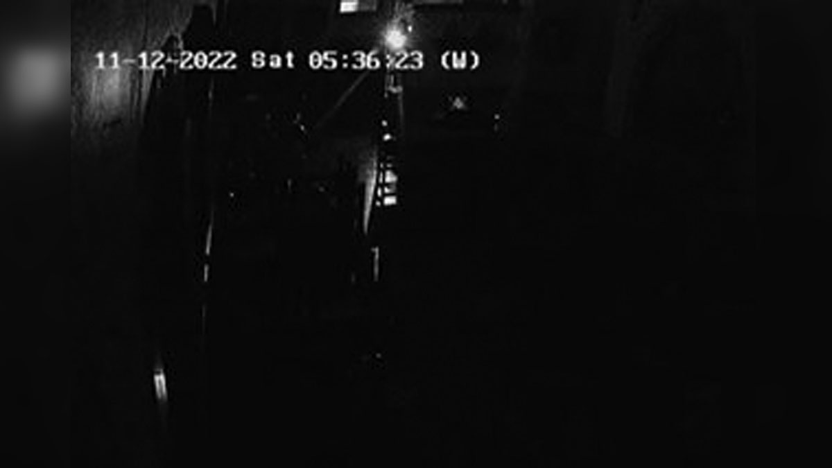 Thief Caught On Camera Stealing Safe From Malden Restaurant Boston Thief caught on camera stealing safe from malden restaurant boston