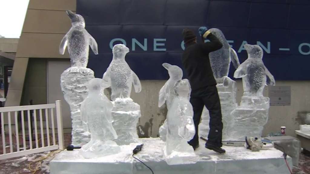 A Brrrilliant Display Ice sculptures of New England Aquarium penguins