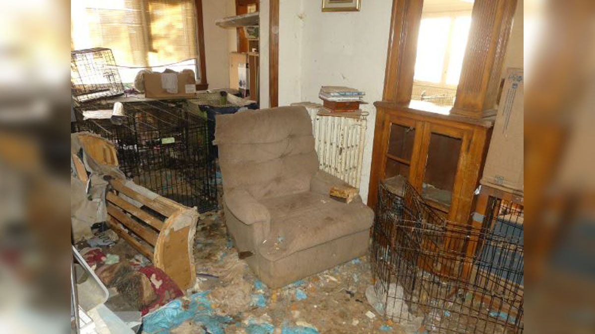 Animal Rescue League rescues 18 dogs from ‘unsanitary’ Malden home