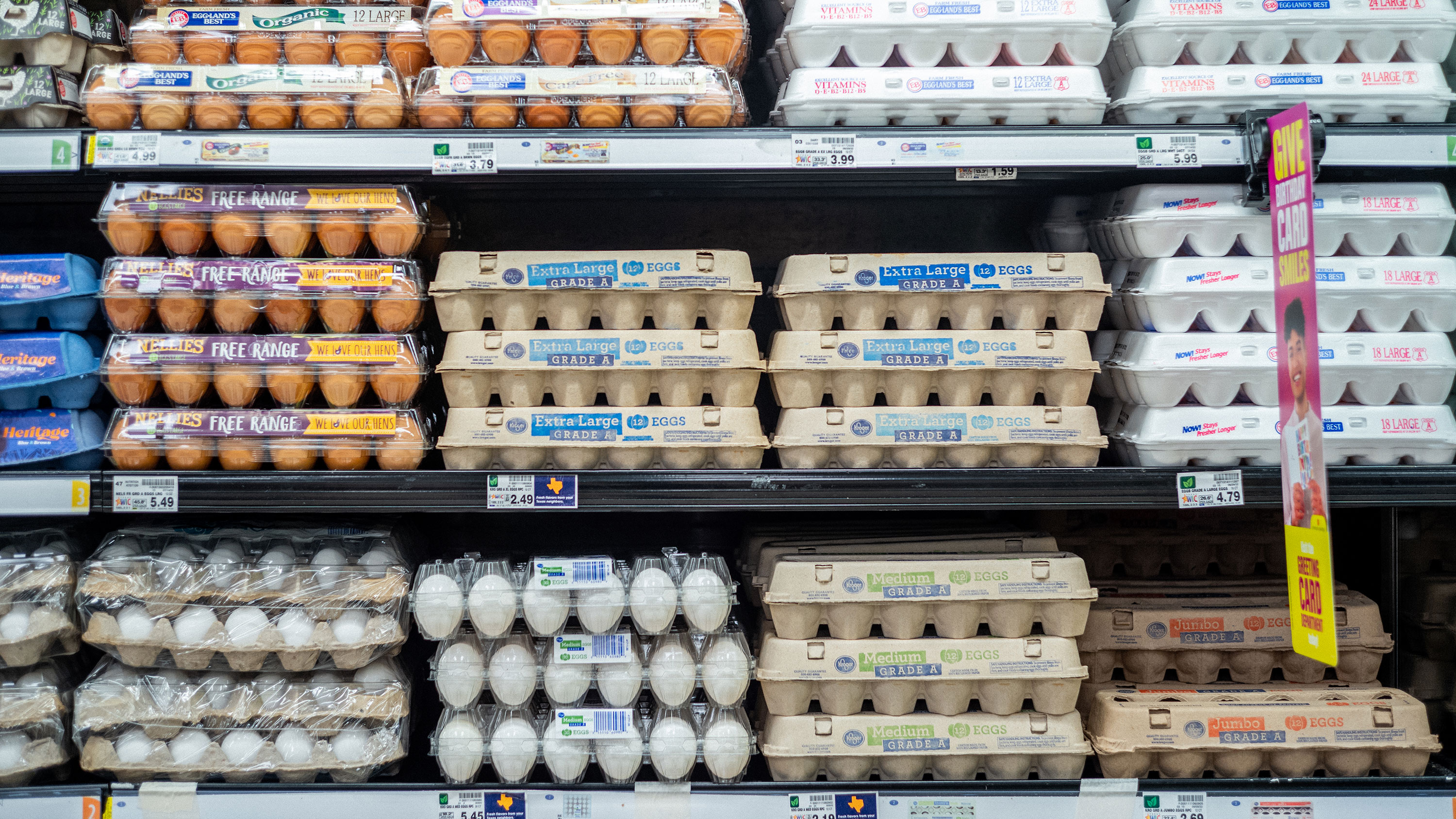 Цены на яйца в странах. Упаковка яиц Америка. Американские яйца. Дорогие яйца в магазине. Сколько стоят куриные яйца в США.