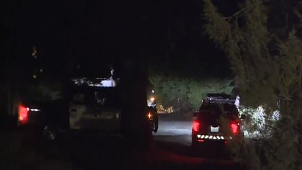 Investigators return to home in Cohasset amid search for missing woman Boston News, Weather