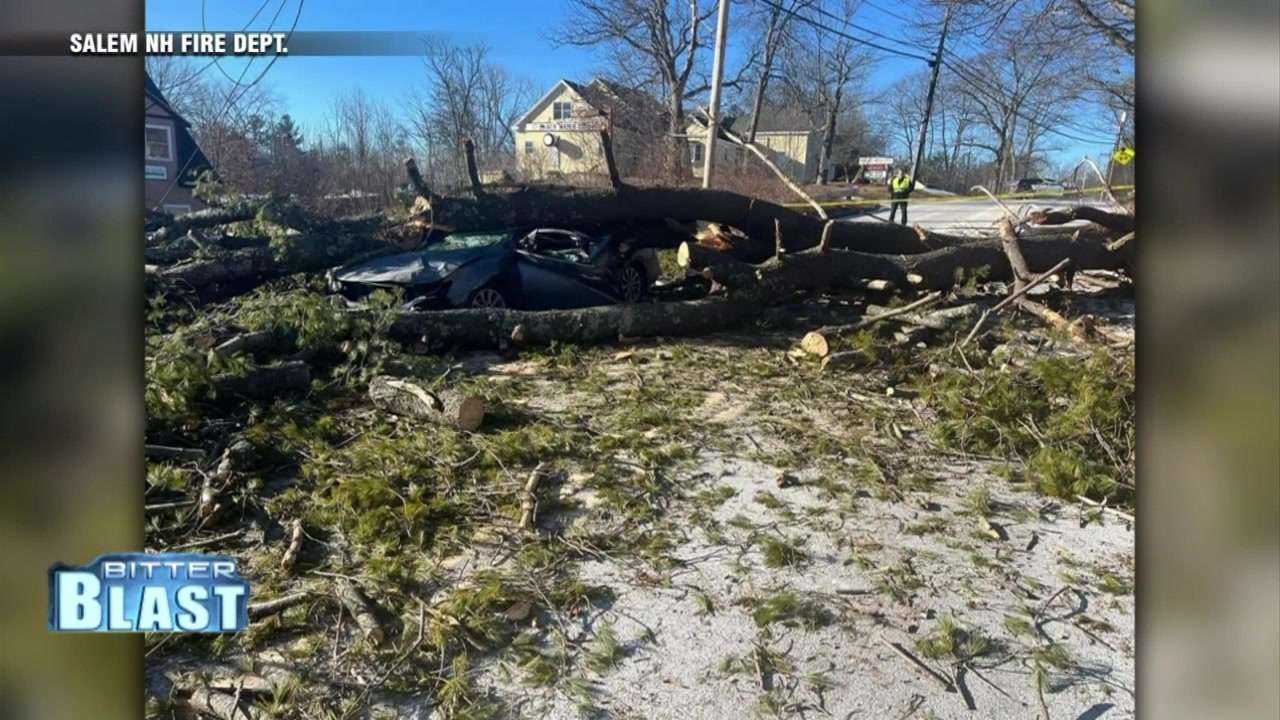 Driver hospitalized after tree falls on cars in Salem, NH - Boston News ...