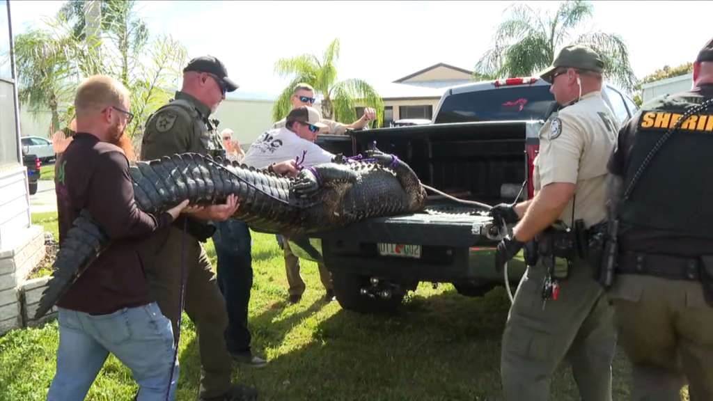 New video shows shocking moments leading up to deadly Alligator attack