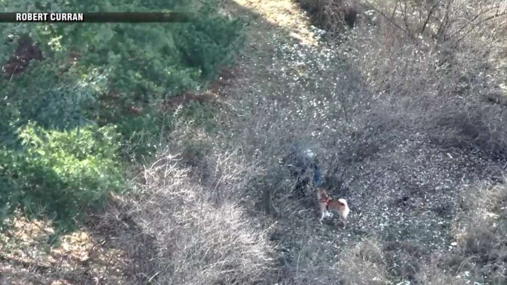 Firefighter uses drone to help find Harvard family's missing dog – Boston News, Weather, Sports - Vimarsana News