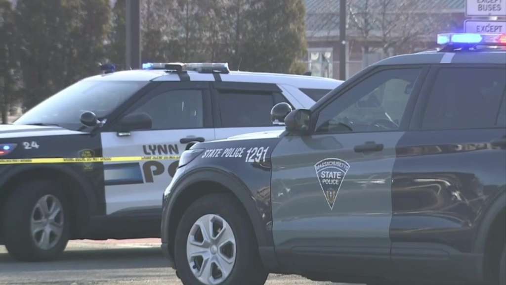 Victim identified in deadly Lynn hit-and-run - Vimarsana News