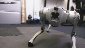 A four-legged robotic system for playing soccer on various terrains, MIT  News