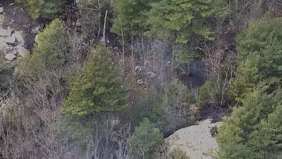 Crews battle brush fire in Braintree - Boston News, Weather, Sports ...