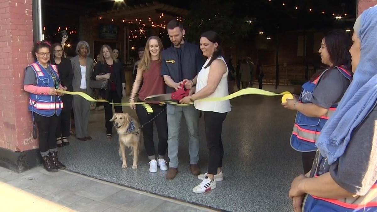Park-9 Dog Bar welcomes dogs and dog owners at grand opening in Everett