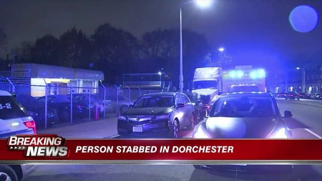 Police investigating after person stabbed in Dorchester - Vimarsana News