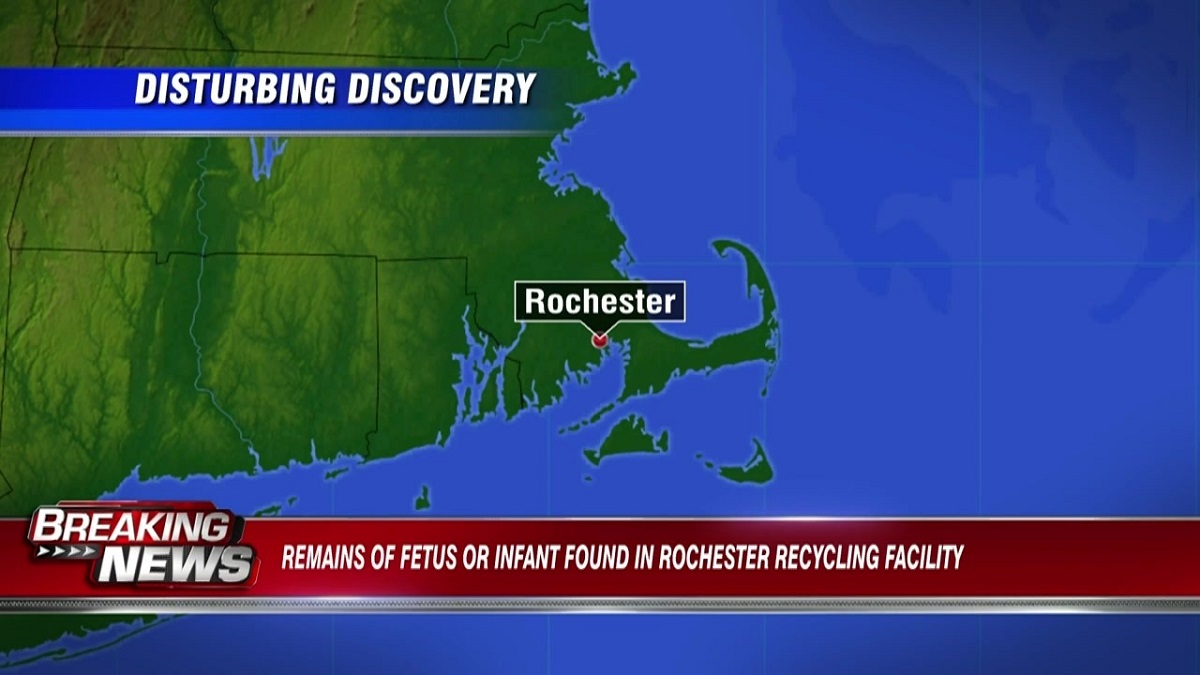 Remains of fetus or infant found in Rochester recycling facility