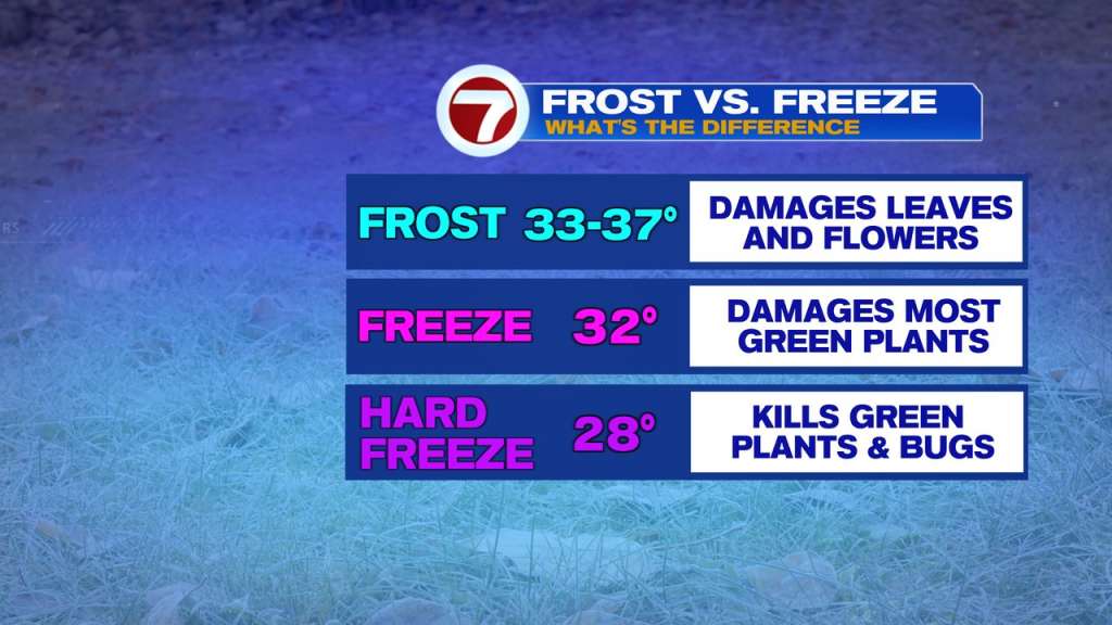 So, what's the difference between a frost and a freeze?