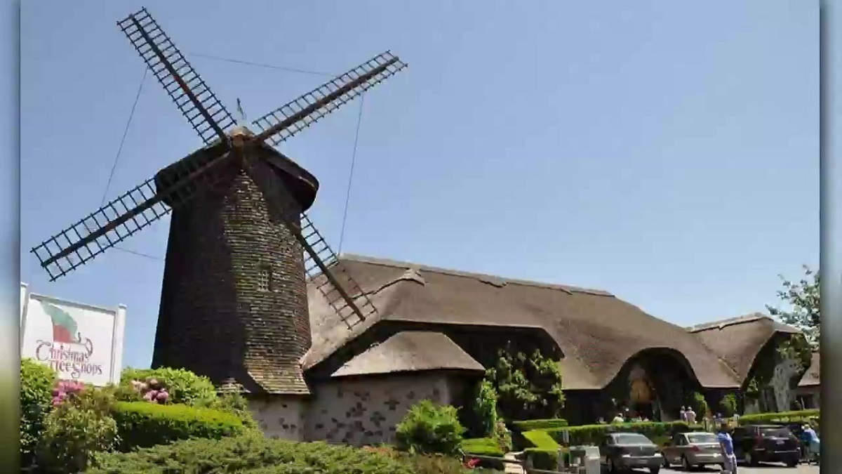 Iconic Christmas Tree Shops store at Sagamore Bridge to close as part