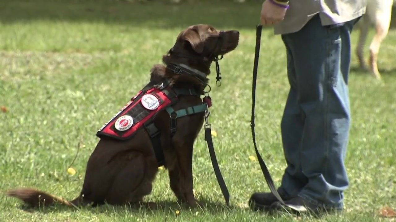 Operation Delta Dog Local group pairs service members with service