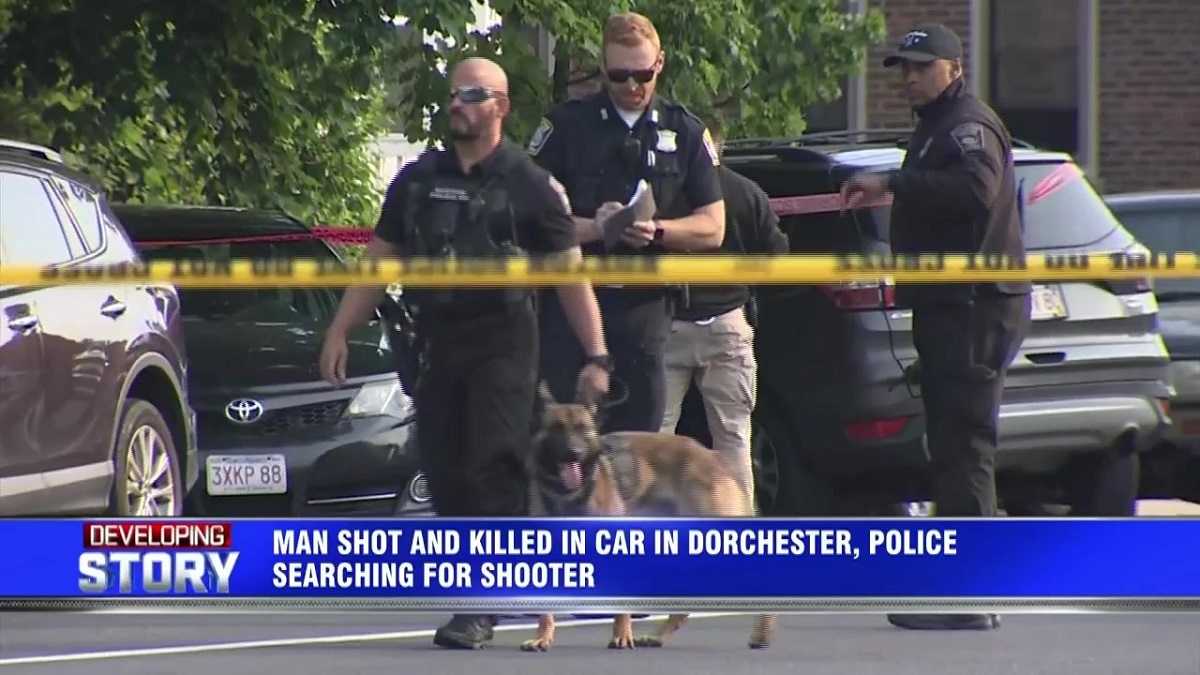 Man Shot And Killed In Dorchester, Police Searching For Shooter ...