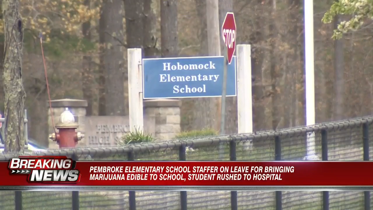 Pembroke elementary school staffer on leave for bringing marijuana ...