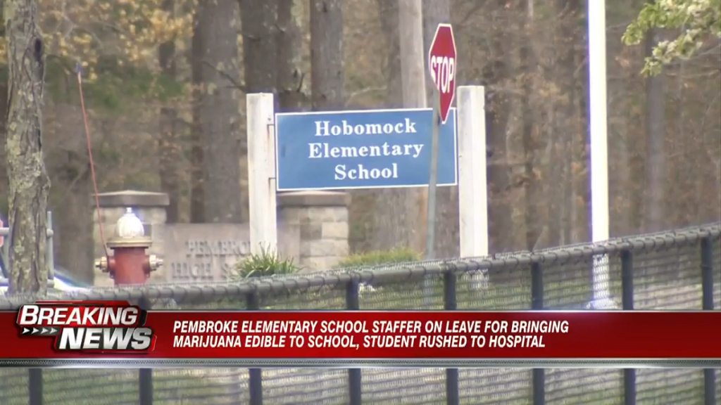 Pembroke elementary school staffer on leave for bringing marijuana edible to school, student rushed to hospital - Vimarsana News