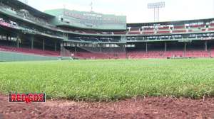 Here's how to win your dad a free Father's Day at Fenway Park