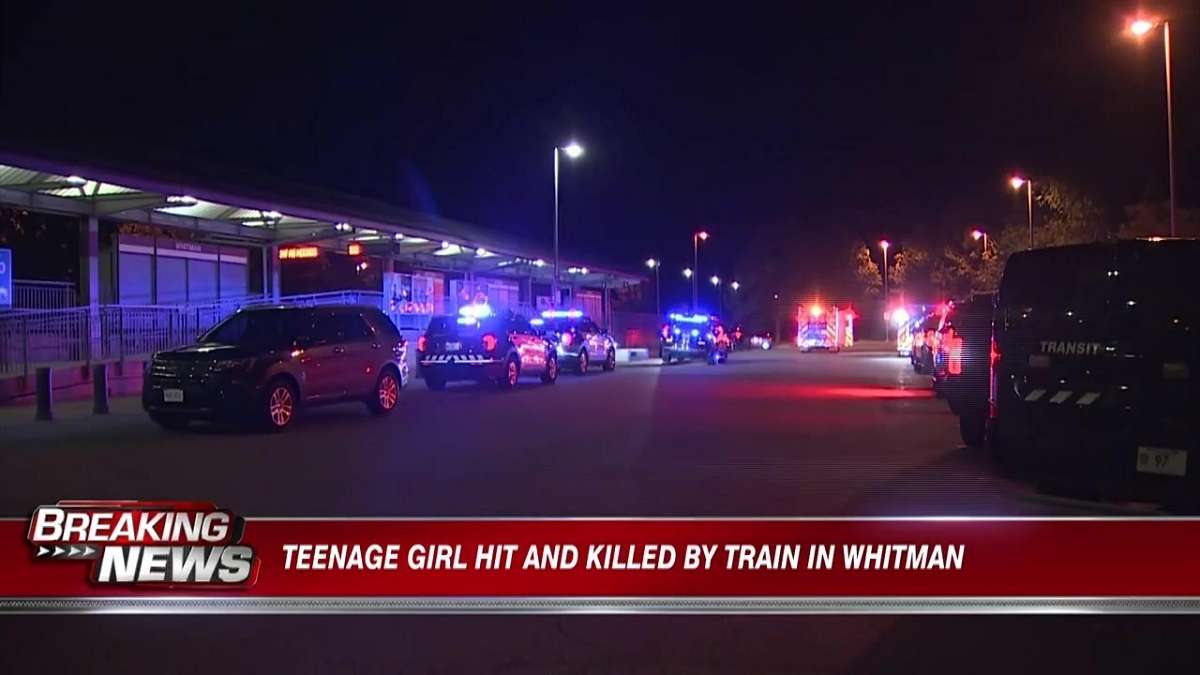Emergency crews respond after 2 people hit and killed by trains in ...