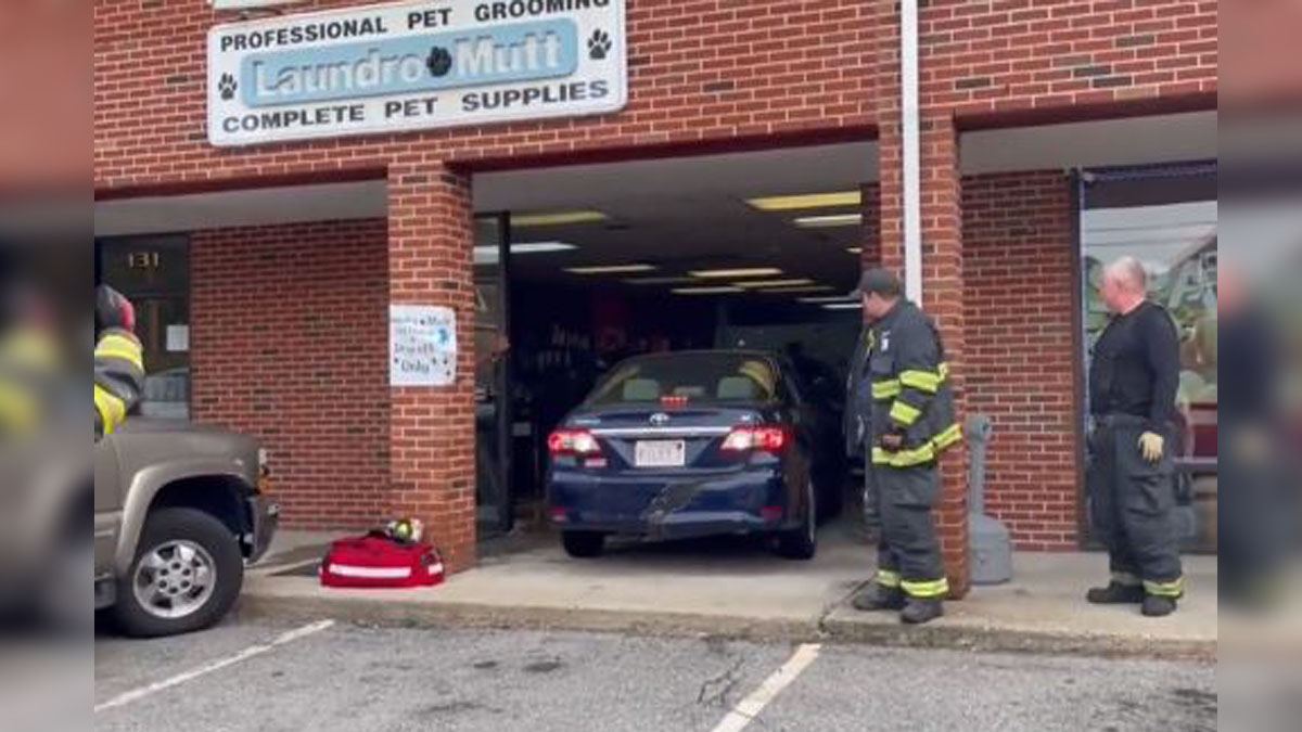 Car crashes into pet store in Salem