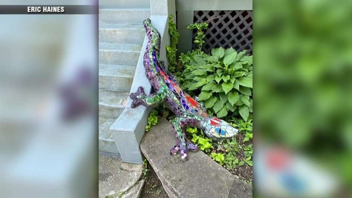 Somerville man creates virtual treasure hunt of local unique items - Boston News, Weather, Sports - Vimarsana News