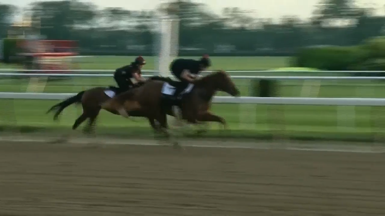 Belmont Park will resume live racing after air quality improves ahead