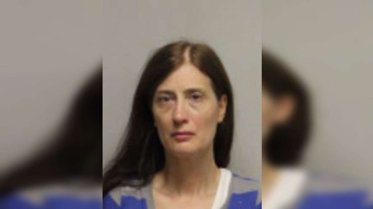 NH woman facing animal cruelty charge after dog dies in hot vehicle ...