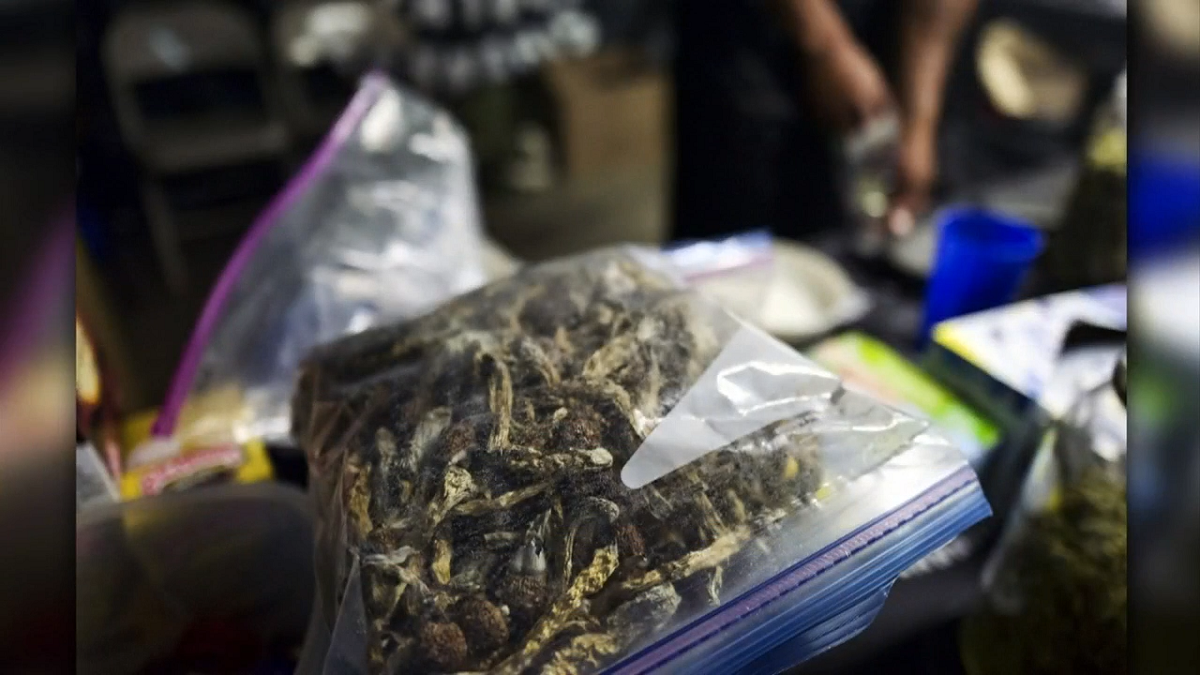 California Gov. Gavin Newsom vetoes bill that would have decriminalized