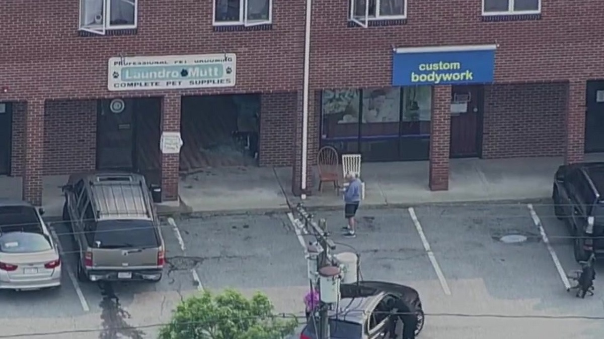 Car crashes into pet store in Salem Boston News Weather Sports